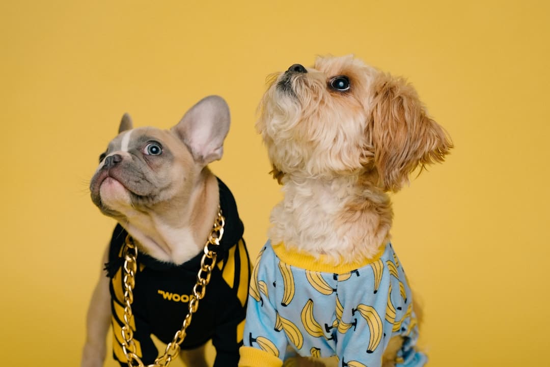 许玮甯生娃后复工 状态大好美丽依旧